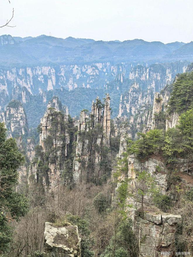 规旅行社靠谱价格速看！张家界旅游团报价5日正(图2)